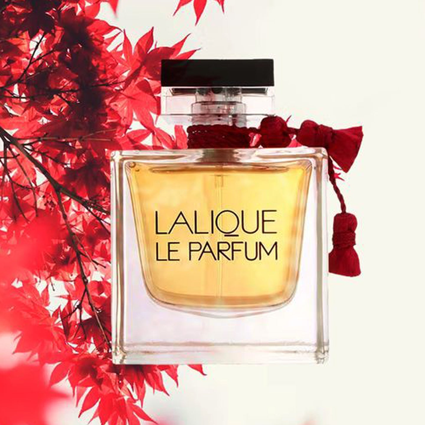 Lalique Le Parfum Eau de Parfum Spray 100 ml for Women